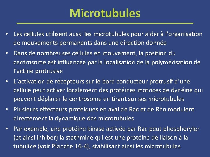 Microtubules • Les cellules utilisent aussi les microtubules pour aider à l’organisation de mouvements