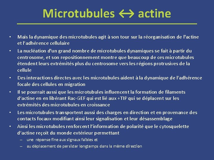 Microtubules ↔ actine • • • Mais la dynamique des microtubules agit à son