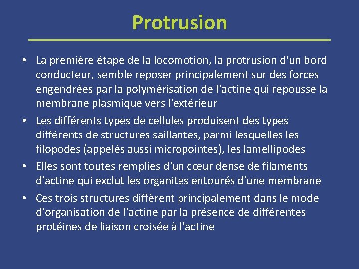 Protrusion • La première étape de la locomotion, la protrusion d'un bord conducteur, semble