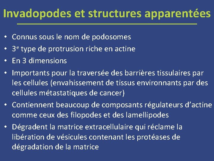 Invadopodes et structures apparentées Connus sous le nom de podosomes 3 e type de