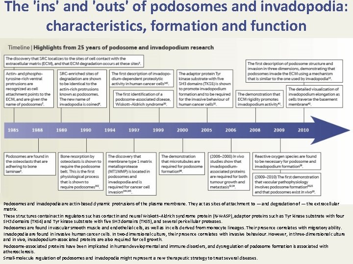 The 'ins' and 'outs' of podosomes and invadopodia: characteristics, formation and function Podosomes and