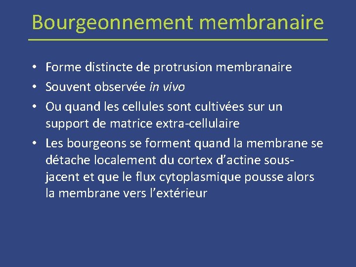 Bourgeonnement membranaire • Forme distincte de protrusion membranaire • Souvent observée in vivo •