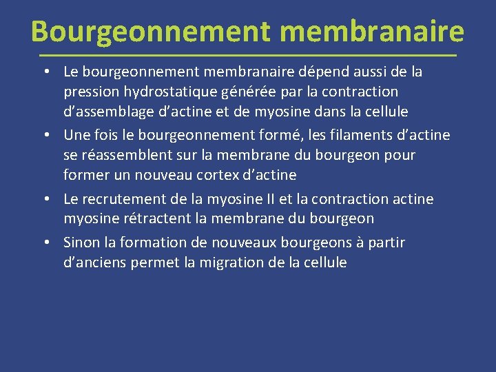 Bourgeonnement membranaire • Le bourgeonnement membranaire dépend aussi de la pression hydrostatique générée par