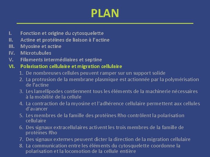 PLAN I. III. IV. V. VI. Fonction et origine du cytosquelette Actine et protéines