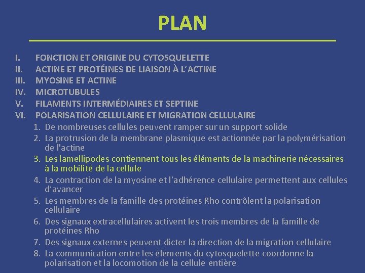 PLAN I. III. IV. V. VI. FONCTION ET ORIGINE DU CYTOSQUELETTE ACTINE ET PROTÉINES