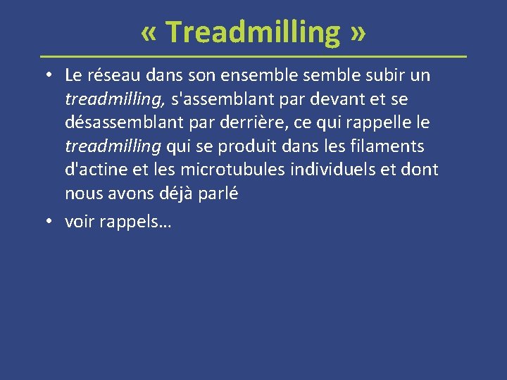  « Treadmilling » • Le réseau dans son ensemble subir un treadmilling, s'assemblant