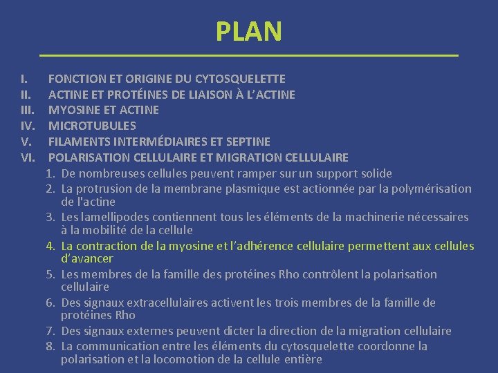 PLAN I. III. IV. V. VI. FONCTION ET ORIGINE DU CYTOSQUELETTE ACTINE ET PROTÉINES