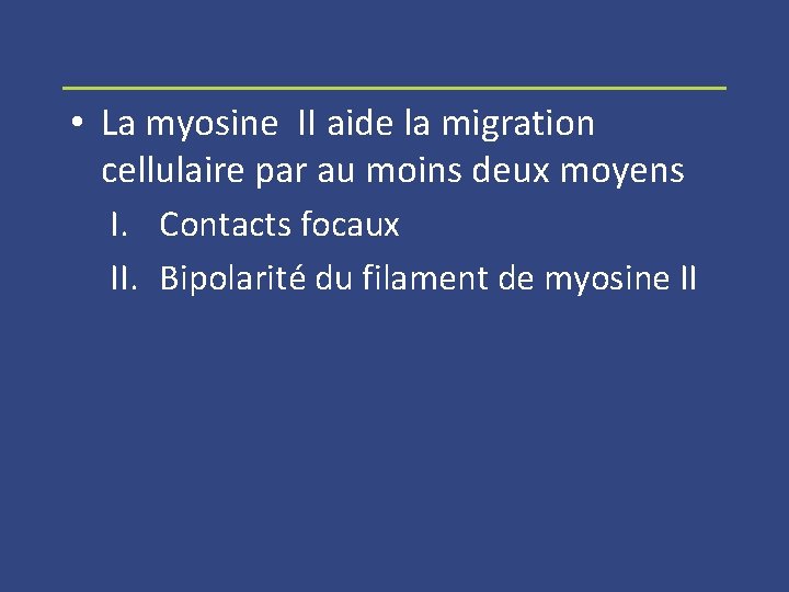  • La myosine II aide la migration cellulaire par au moins deux moyens