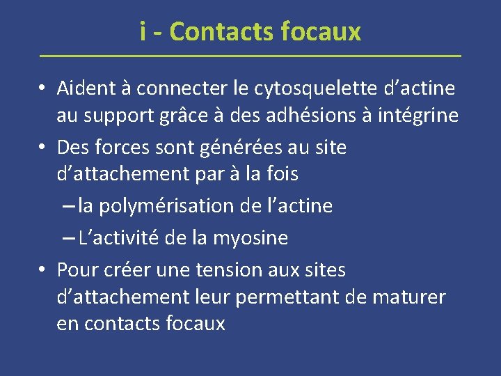 i Contacts focaux • Aident à connecter le cytosquelette d’actine au support grâce à