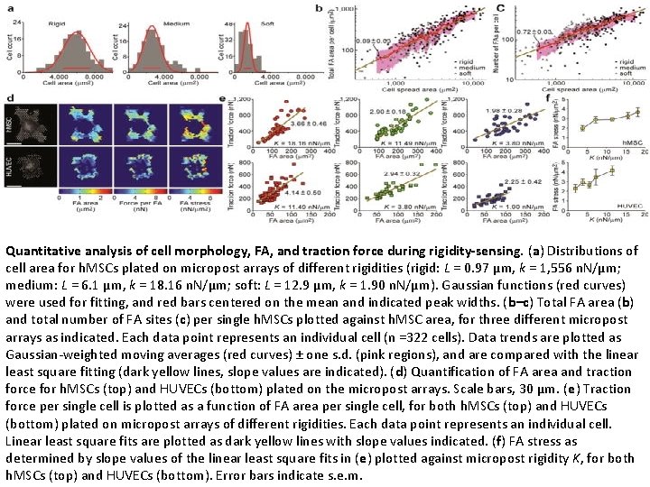 Mechanical regulation of cell function with geometrically modulated elastomeric substrates Jianping Fu, Yang Kao,