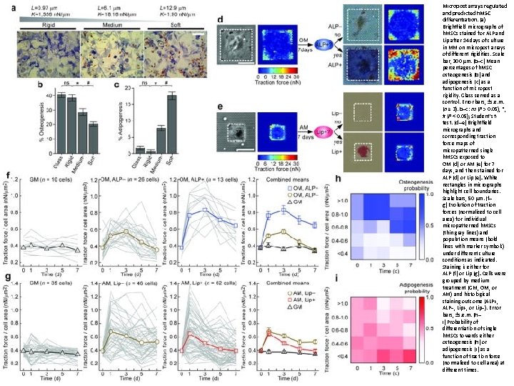 Mechanical regulation of cell function with geometrically modulated elastomeric substrates Jianping Fu, Yang Kao,