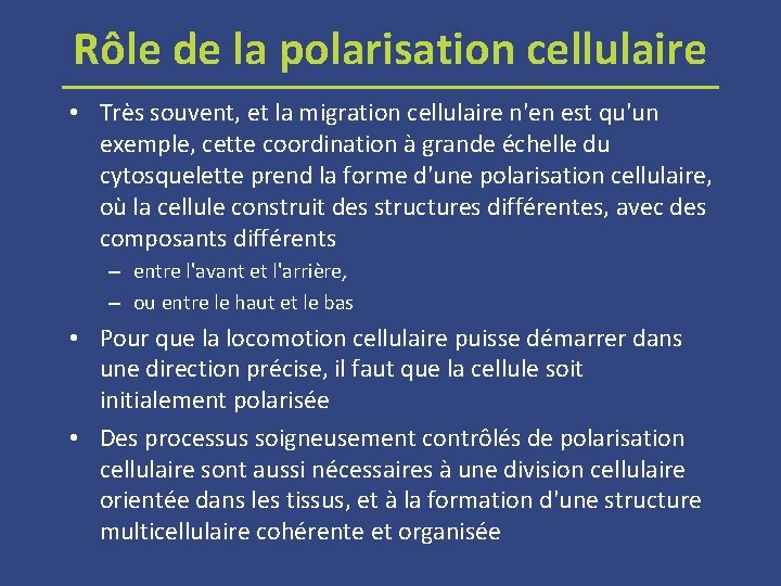 Rôle de la polarisation cellulaire • Très souvent, et la migration cellulaire n'en est