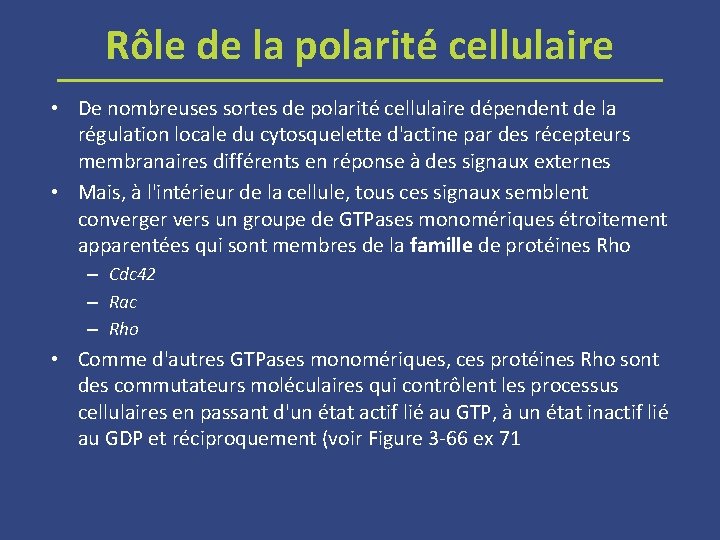 Rôle de la polarité cellulaire • De nombreuses sortes de polarité cellulaire dépendent de