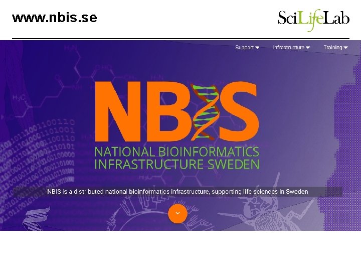 www. nbis. se 