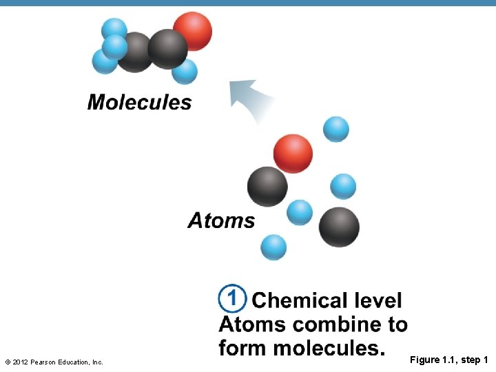 © 2012 Pearson Education, Inc. Figure 1. 1, step 1 