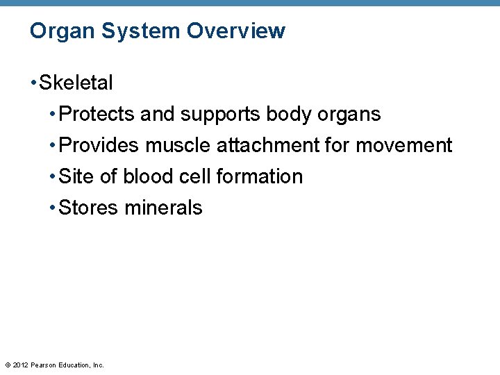 Organ System Overview • Skeletal • Protects and supports body organs • Provides muscle