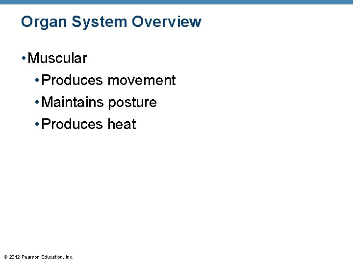 Organ System Overview • Muscular • Produces movement • Maintains posture • Produces heat