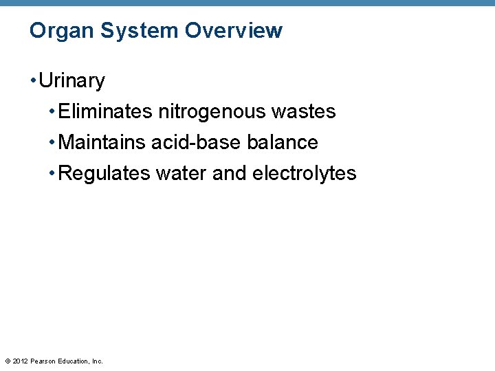 Organ System Overview • Urinary • Eliminates nitrogenous wastes • Maintains acid-base balance •
