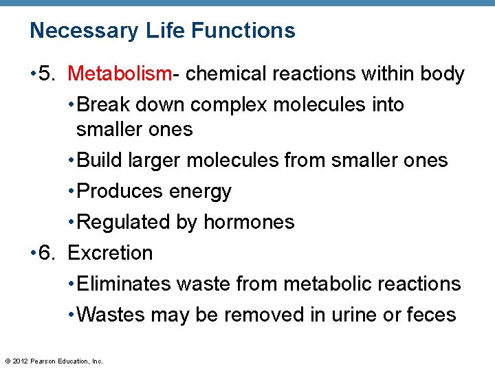 Necessary Life Functions • 5. Metabolism- chemical reactions within body • Break down complex