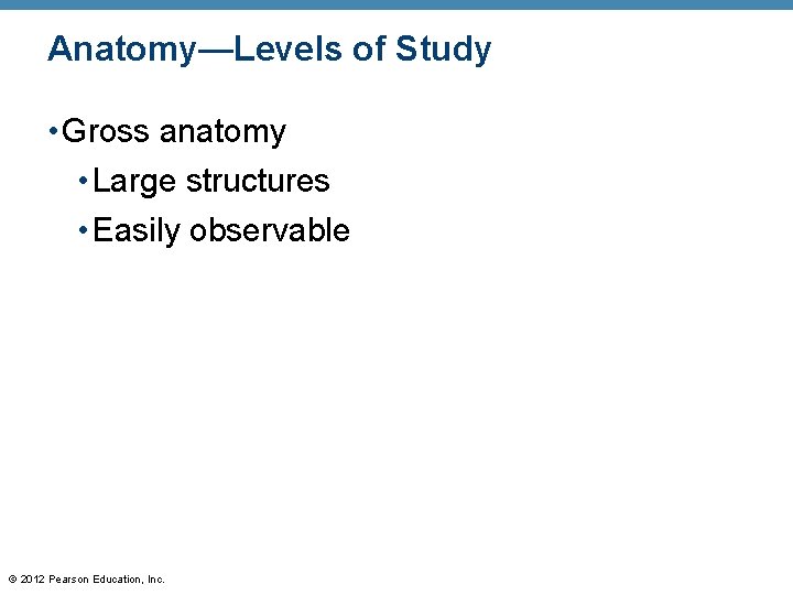 Anatomy—Levels of Study • Gross anatomy • Large structures • Easily observable © 2012