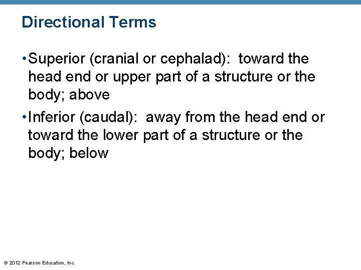 Directional Terms • Superior (cranial or cephalad): toward the head end or upper part