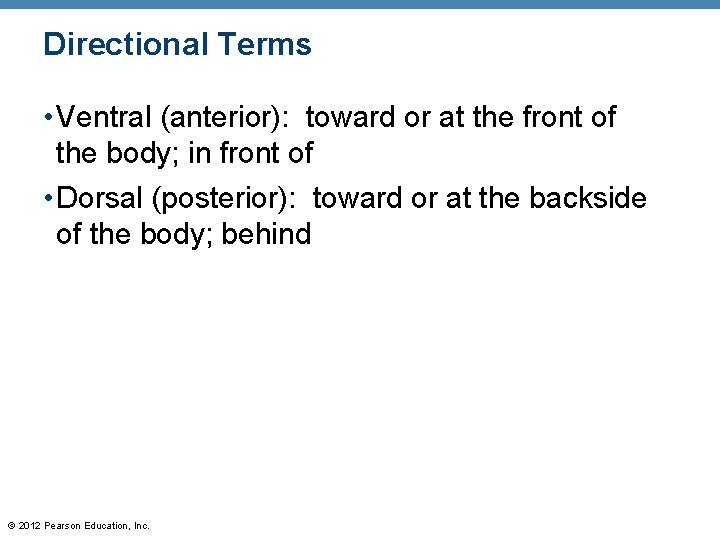 Directional Terms • Ventral (anterior): toward or at the front of the body; in