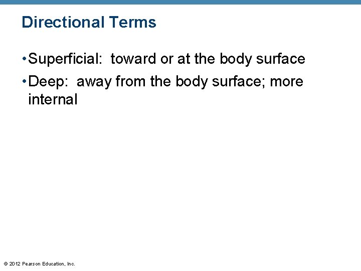 Directional Terms • Superficial: toward or at the body surface • Deep: away from