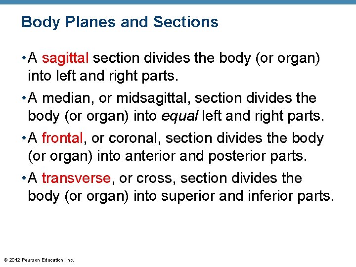 Body Planes and Sections • A sagittal section divides the body (or organ) into