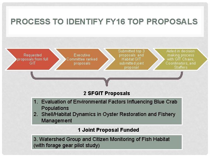 PROCESS TO IDENTIFY FY 16 TOP PROPOSALS Requested proposals from full GIT Executive Committee