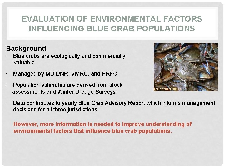 EVALUATION OF ENVIRONMENTAL FACTORS INFLUENCING BLUE CRAB POPULATIONS Background: • Blue crabs are ecologically