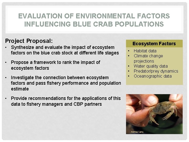 EVALUATION OF ENVIRONMENTAL FACTORS INFLUENCING BLUE CRAB POPULATIONS Project Proposal: • Synthesize and evaluate