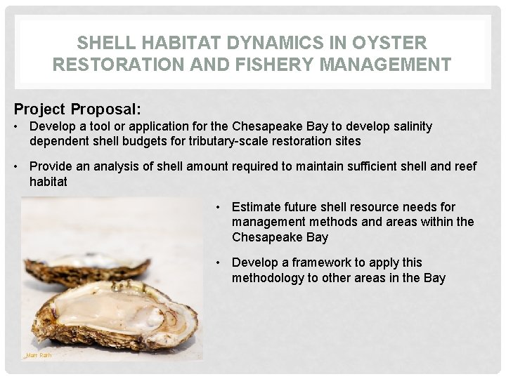 SHELL HABITAT DYNAMICS IN OYSTER RESTORATION AND FISHERY MANAGEMENT Project Proposal: • Develop a