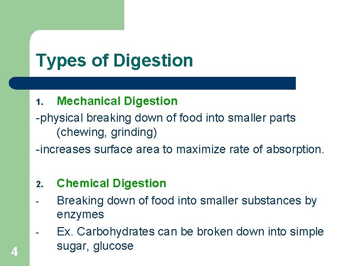 Types of Digestion Mechanical Digestion -physical breaking down of food into smaller parts (chewing,