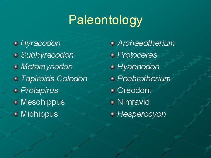 Paleontology Hyracodon Subhyracodon Metamynodon Tapiroids Colodon Protapirus Mesohippus Miohippus Archaeotherium Protoceras Hyaenodon Poebrotherium Oreodont