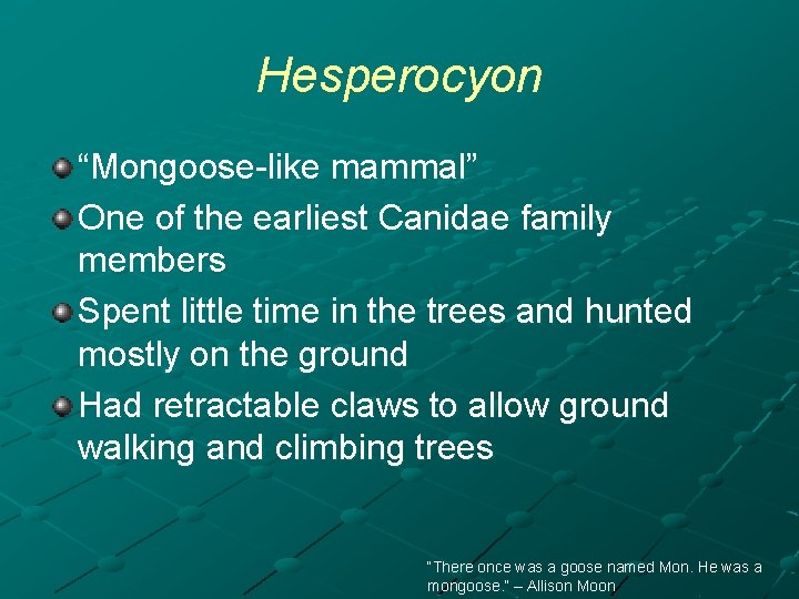 Hesperocyon “Mongoose-like mammal” One of the earliest Canidae family members Spent little time in