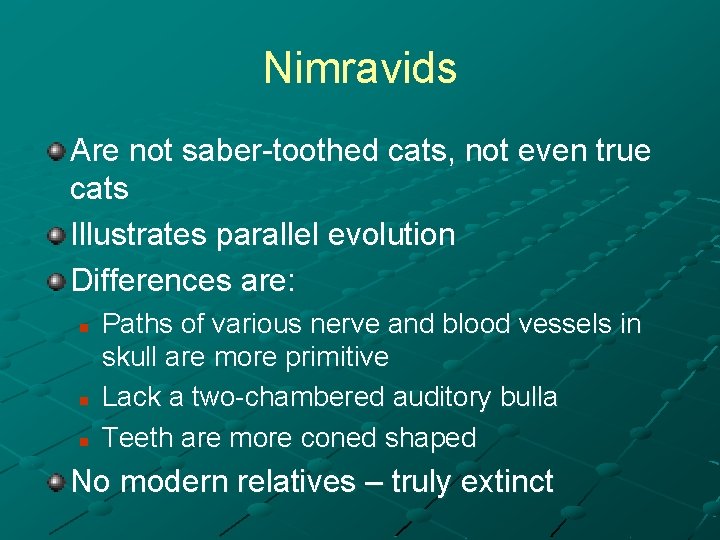 Nimravids Are not saber-toothed cats, not even true cats Illustrates parallel evolution Differences are: