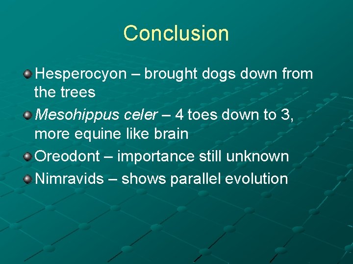 Conclusion Hesperocyon – brought dogs down from the trees Mesohippus celer – 4 toes