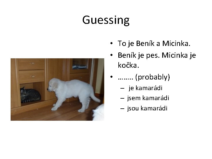 Guessing • To je Beník a Micinka. • Beník je pes. Micinka je kočka.