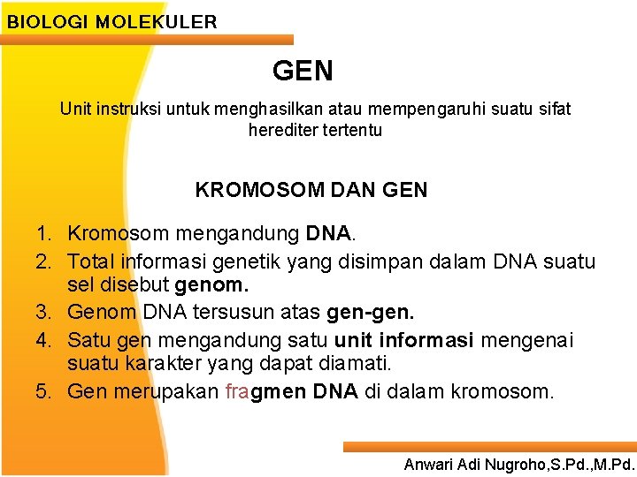 BIOLOGI MOLEKULER GEN Unit instruksi untuk menghasilkan atau mempengaruhi suatu sifat herediter tertentu KROMOSOM