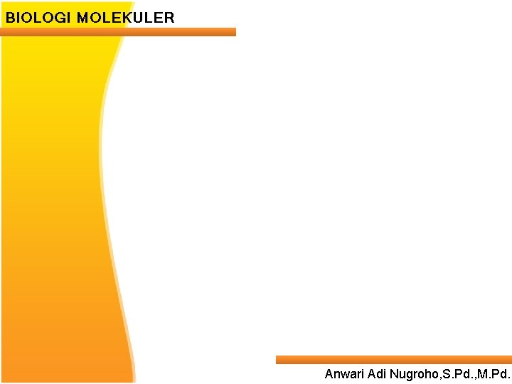 BIOLOGI MOLEKULER Anwari Adi Nugroho, S. Pd. , M. Pd. 