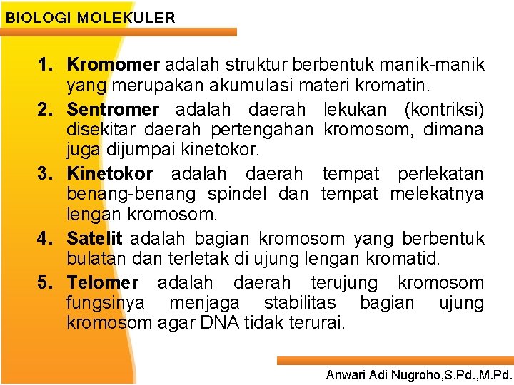 BIOLOGI MOLEKULER 1. Kromomer adalah struktur berbentuk manik-manik yang merupakan akumulasi materi kromatin. 2.