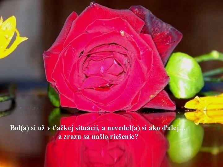 Bol(a) si už v ťažkej situácii, a nevedel(a) si ako ďalej… a zrazu sa