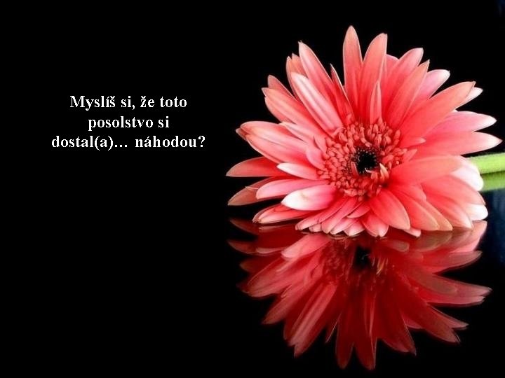 Myslíš si, že toto posolstvo si dostal(a)… náhodou? 