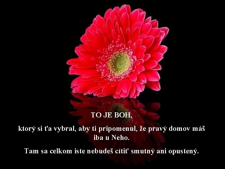 TO JE BOH, ktorý si ťa vybral, aby ti pripomenul, že pravý domov máš