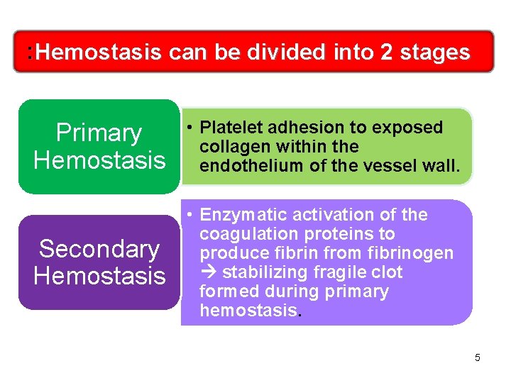 : Hemostasis can be divided into 2 stages Primary Hemostasis • Platelet adhesion to