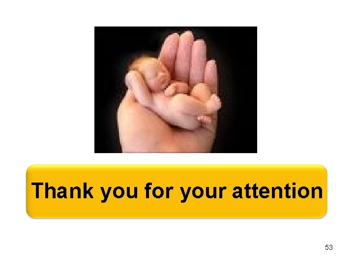 Thank you for your attention 53 