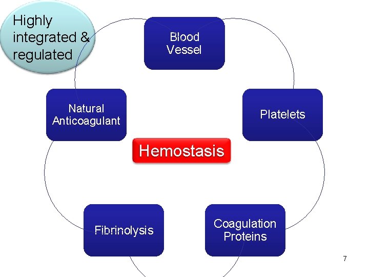 Highly integrated & regulated Blood Vessel Natural Anticoagulant Platelets Hemostasis Fibrinolysis Coagulation Proteins 7
