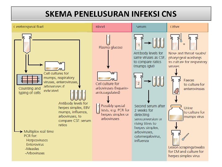 SKEMA PENELUSURAN INFEKSI CNS 