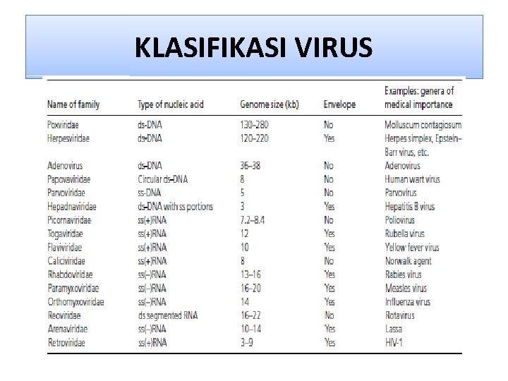 KLASIFIKASI VIRUS 