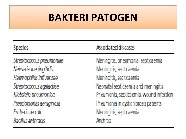 BAKTERI PATOGEN 